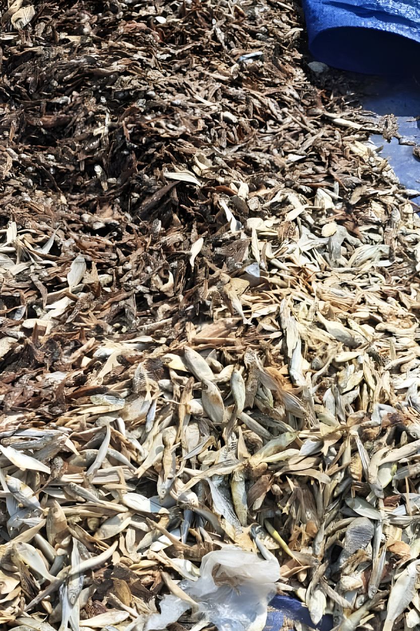 Bahan Baku Berkualitas