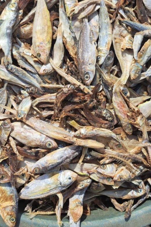 Bahan baku tepung ikan